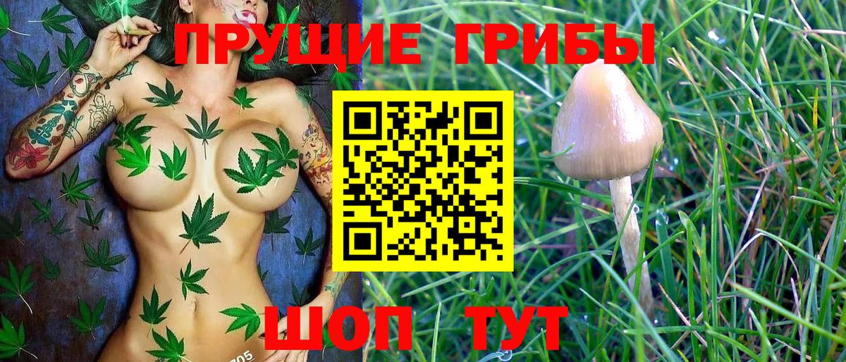 Галлюциногенные грибы мухоморы Тихвин
